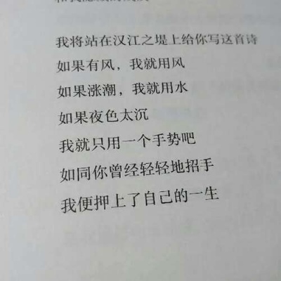 苏瓷:文字背景（唯美 简约 白色系 句子）