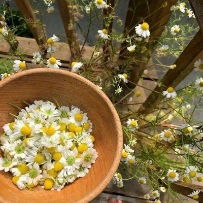 筱詞：暖色系背景/希望晚风可以吹来很多夏天的好消息