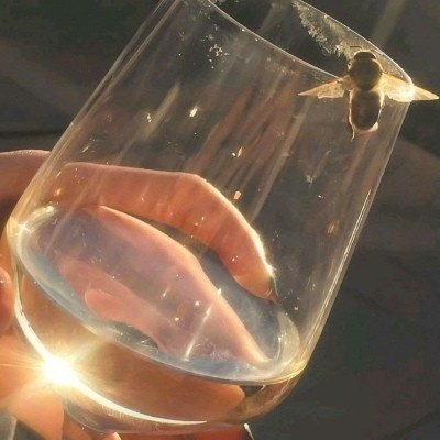 筱詞：暖色系背景/希望晚风可以吹来很多夏天的好消息
