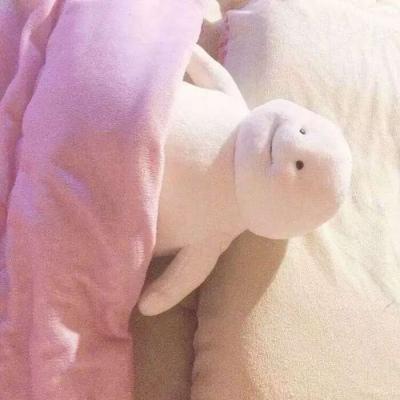 背景图  今日