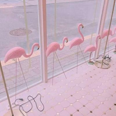 背景图  今日