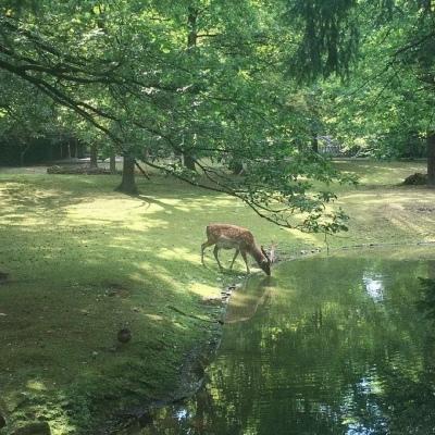 背景图  今日