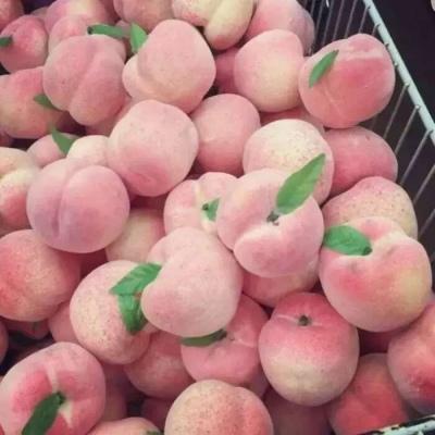 背景图  今日