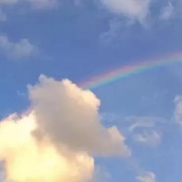风雨过后自有彩虹