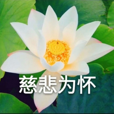 白灏宇：风景静物头像/荷花/文字控/