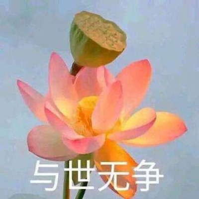 白灏宇：风景静物头像/荷花/文字控/