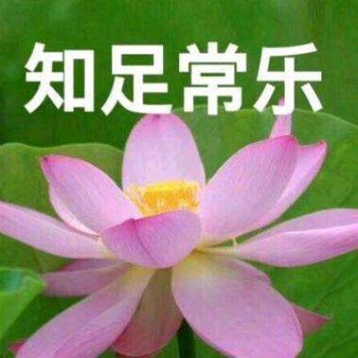 白灏宇：风景静物头像/荷花/文字控/