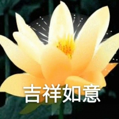 白灏宇：风景静物头像/荷花/文字控/