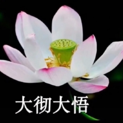 白灏宇：风景静物头像/荷花/文字控/