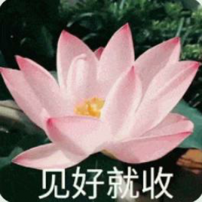 白灏宇：风景静物头像/荷花/文字控/