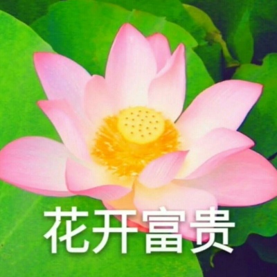 白灏宇：风景静物头像/荷花/文字控/
