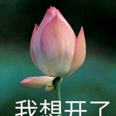 白灏宇：风景静物头像/荷花/文字控/