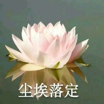 白灏宇：风景静物头像/荷花/文字控/