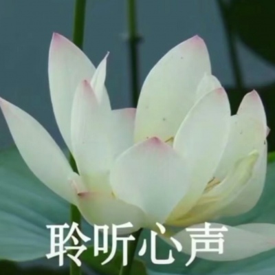 白灏宇：风景静物头像/荷花/文字控/
