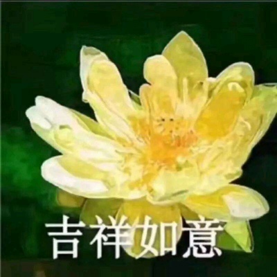 白灏宇：风景静物头像/荷花/文字控/