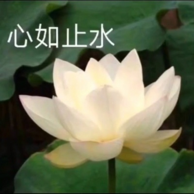 白灏宇：风景静物头像/荷花/文字控/