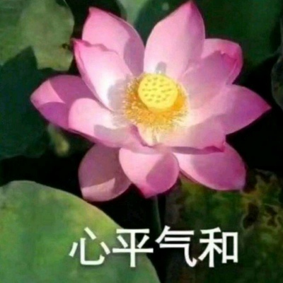 白灏宇：风景静物头像/荷花/文字控/