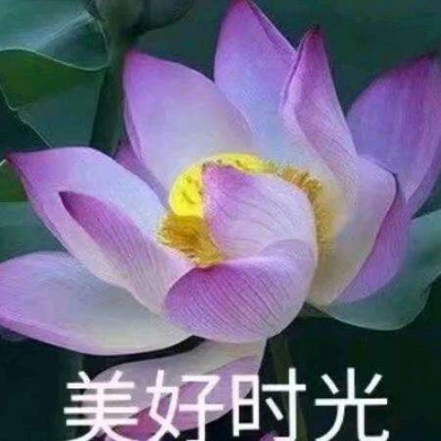 白灏宇：风景静物头像/荷花/文字控/