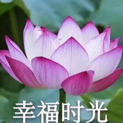 白灏宇：风景静物头像/荷花/文字控/