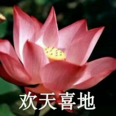白灏宇：风景静物头像/荷花/文字控/