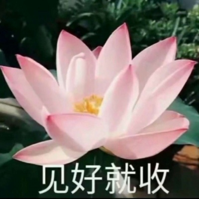 白灏宇：风景静物头像/荷花/文字控/