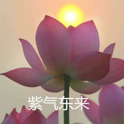 白灏宇：风景静物头像/荷花/文字控/
