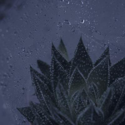 背景图  唯美  梦幻可爱 各种风格都有