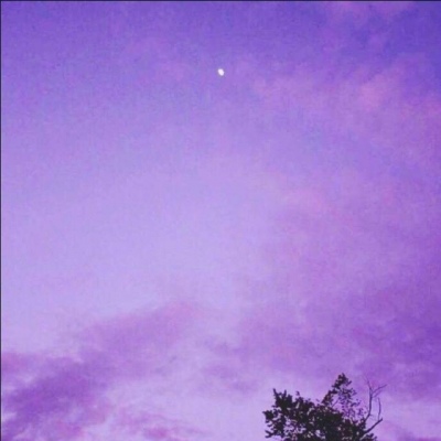 白灏宇:风景静物头像/紫色系/    生气归生气，大哥永远不可能不爱你
