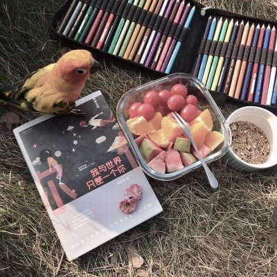 南桅.北沐:优质背景已到货