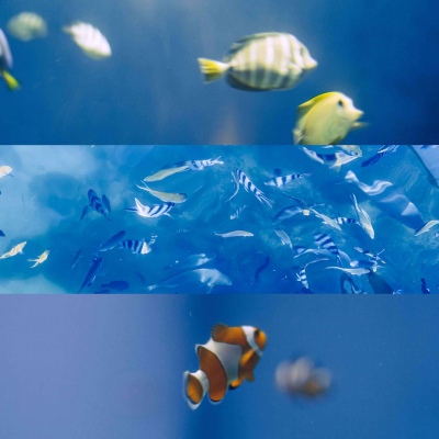 蓝色系背景图