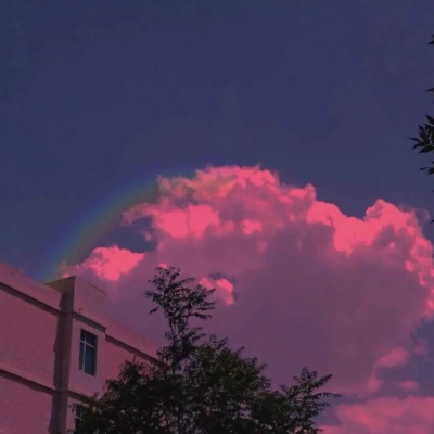 苏橙/唯美风景静物壁纸/愿喜
