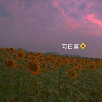 苏橙/唯美风景静物壁纸/愿喜
