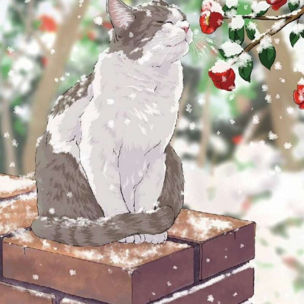 白灏宇:风景静物头像/唯美/猫咪/