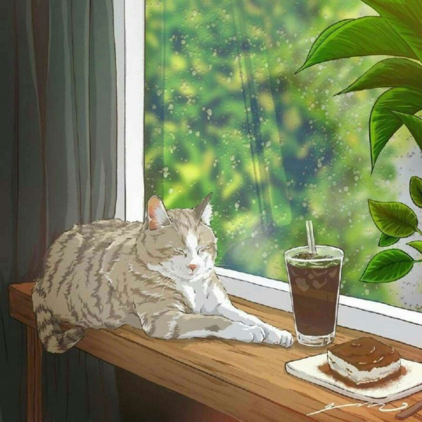 白灏宇:风景静物头像/唯美/猫咪/