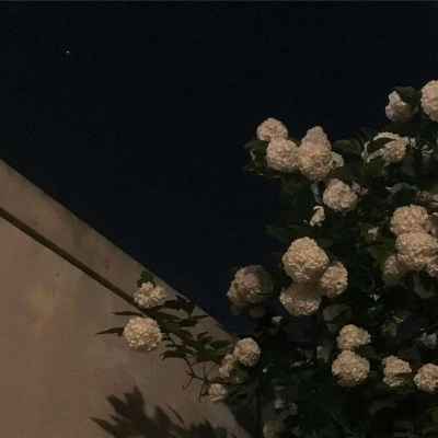 柚子  唯美意境风夜晚风景/这世间 始终你好