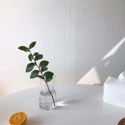 千鹤/白底简约壁纸/简约不是少，而是没有多余.
