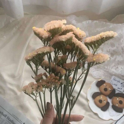 千鹤/白底简约壁纸/简约不是少，而是没有多余.