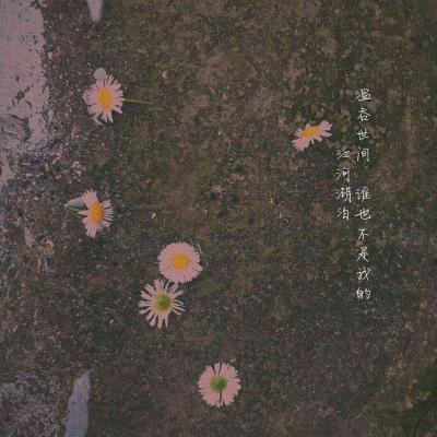 背景图    海底月是天上月，眼前人是心上人