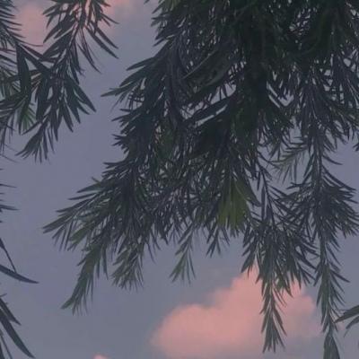 背景图    海底月是天上月，眼前人是心上人