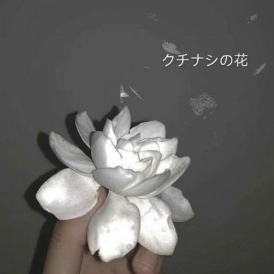 背景图    海底月是天上月，眼前人是心上人
