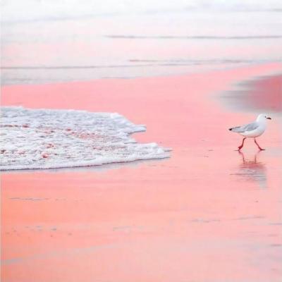 背景图    海底月是天上月，眼前人是心上人