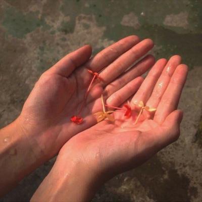 背景图    海底月是天上月，眼前人是心上人