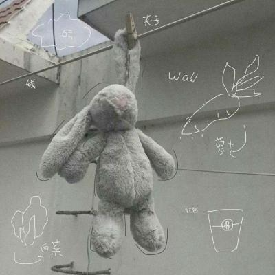 背景图    海底月是天上月，眼前人是心上人