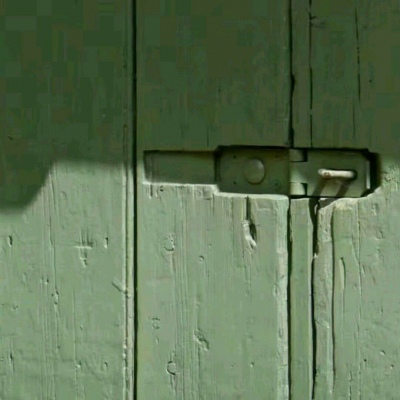 冷澈/绿色唯美背景图//
