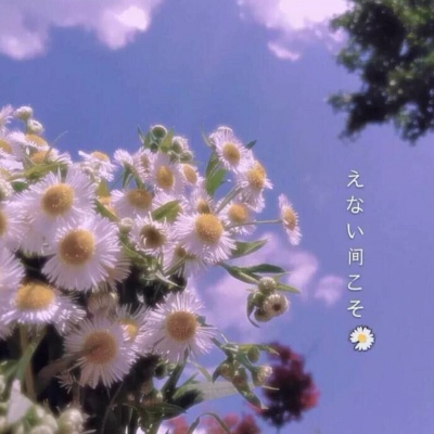 宋知意/唯美ins仙气背景图  所有的温柔 眷恋都是对你灿若星辰的喜欢