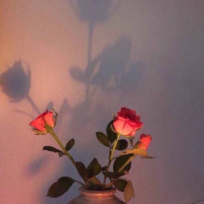 江奕/ins唯美简单背景图/我留在暮春初夏深秋晚冬等待你到来.