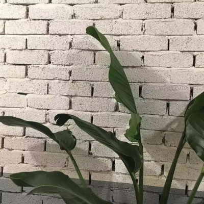 筱詞：ins风背景图?|?抬头仰望天空?阳光如此温柔