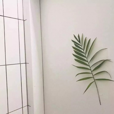 筱詞：ins风背景图?|?抬头仰望天空?阳光如此温柔