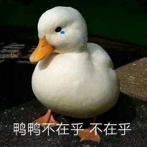 念七 鹅鹅鹅
