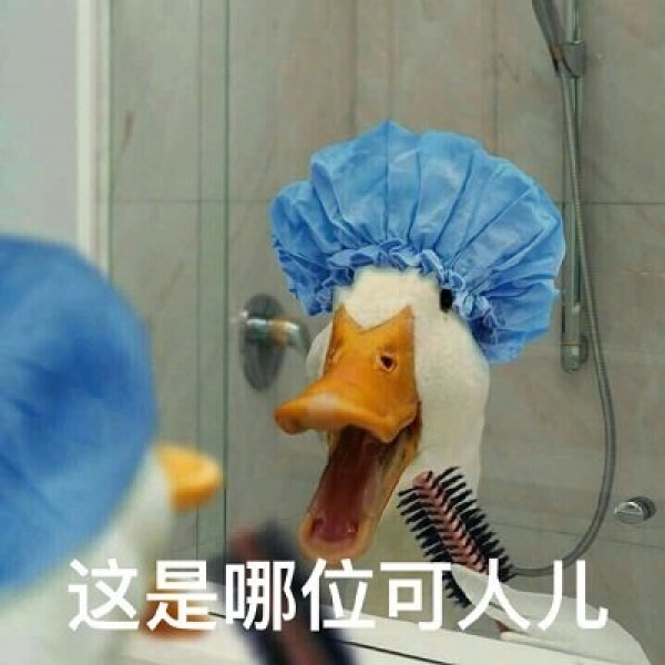 念七 鹅鹅鹅